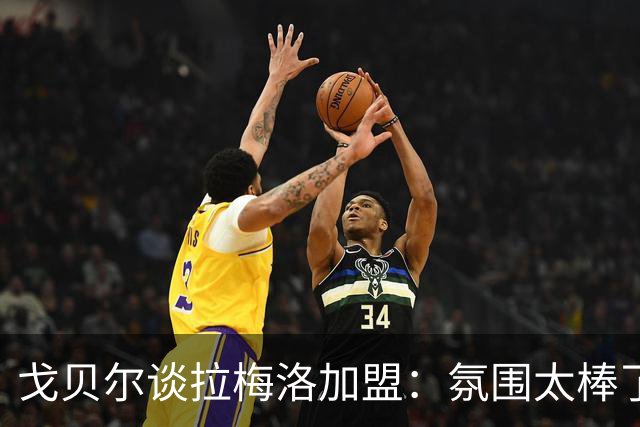 戈贝尔谈拉梅洛加盟：氛围太棒了，我们需要这种快乐